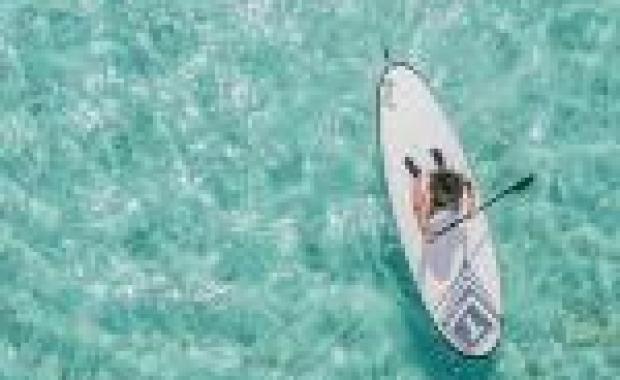 Top Search Engine Optimization Strategies!